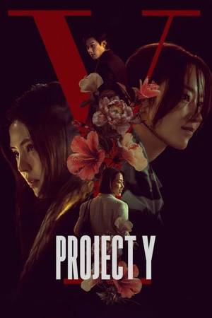Project Y 2026 Hindi - Korean Dual Audio WEB-DL 720p - 480p - 1080p