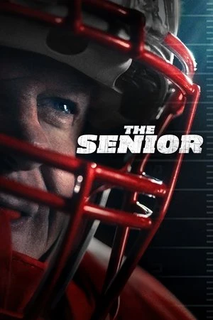 The Senior 2025 Hindi - English Audio WEB-DL 720p - 480p - 1080p